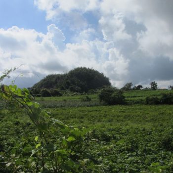Vallei de Viñales